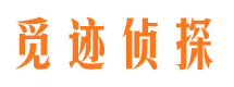 平果商务调查